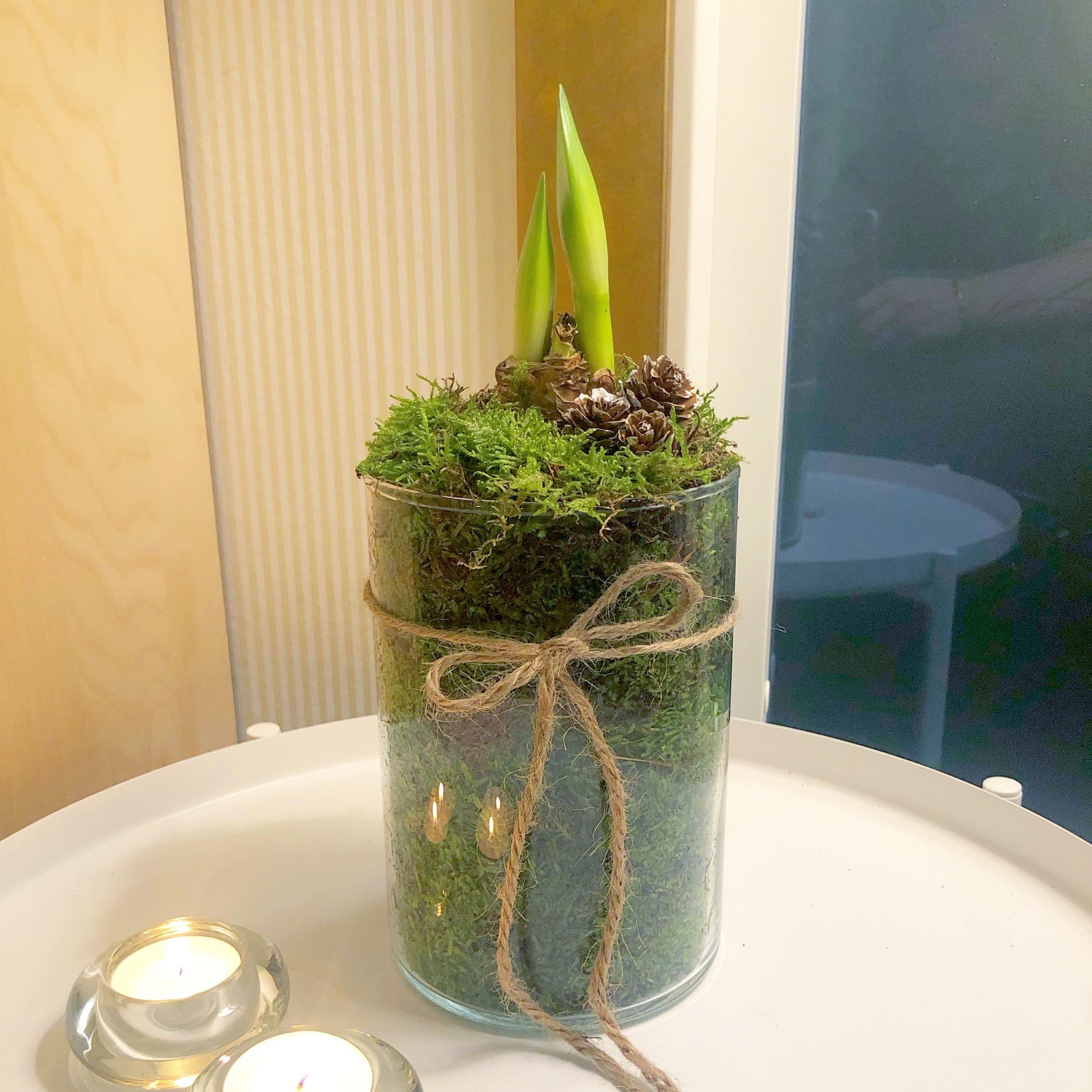 Natalia Lindberg Trädgårdsdesign - vit amaryllis i glasvas