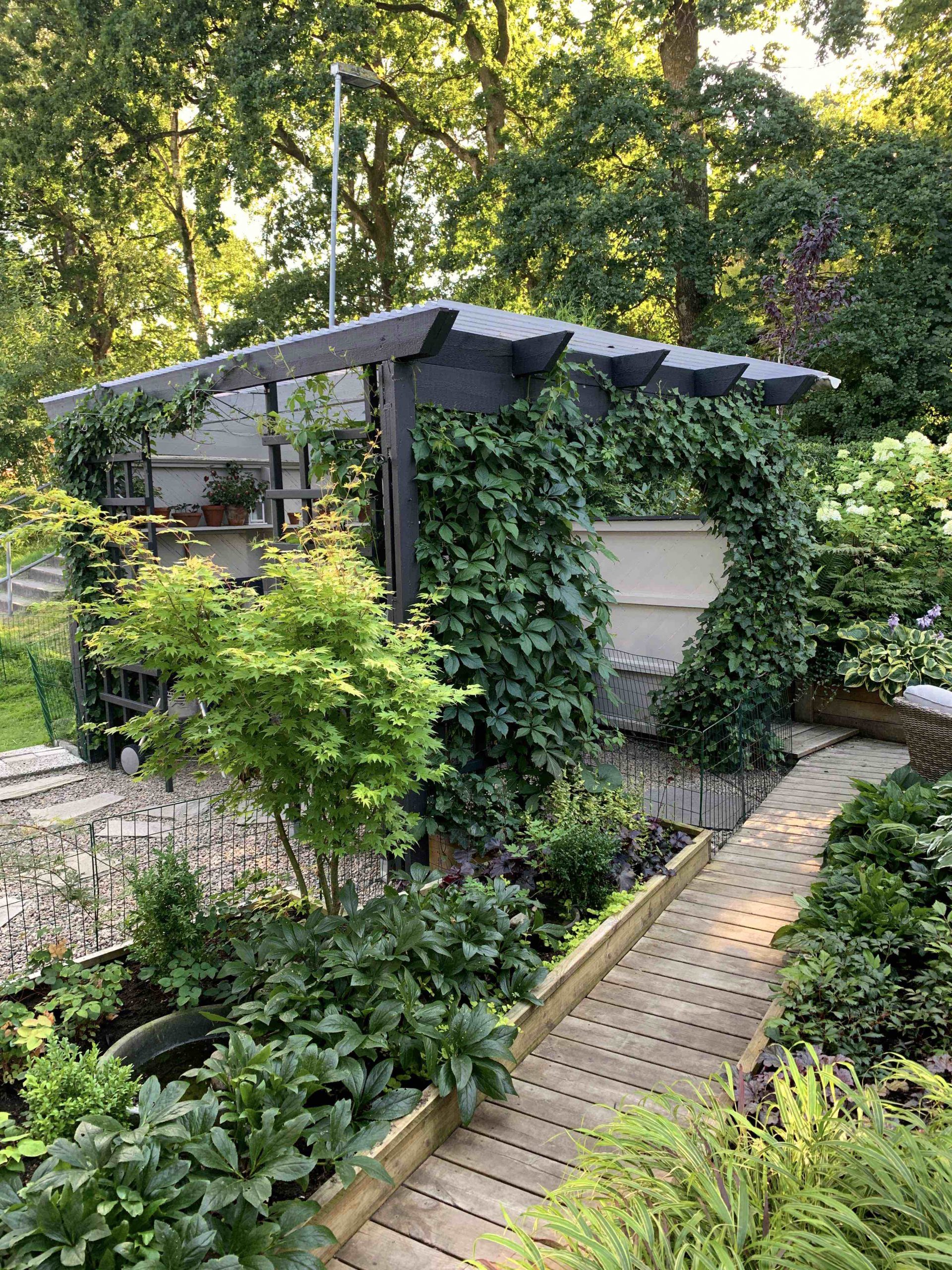 Natalia Lindberg Garden design - Pergola noir gris grimpant vigne sauvage petit jardin passerelle en bois