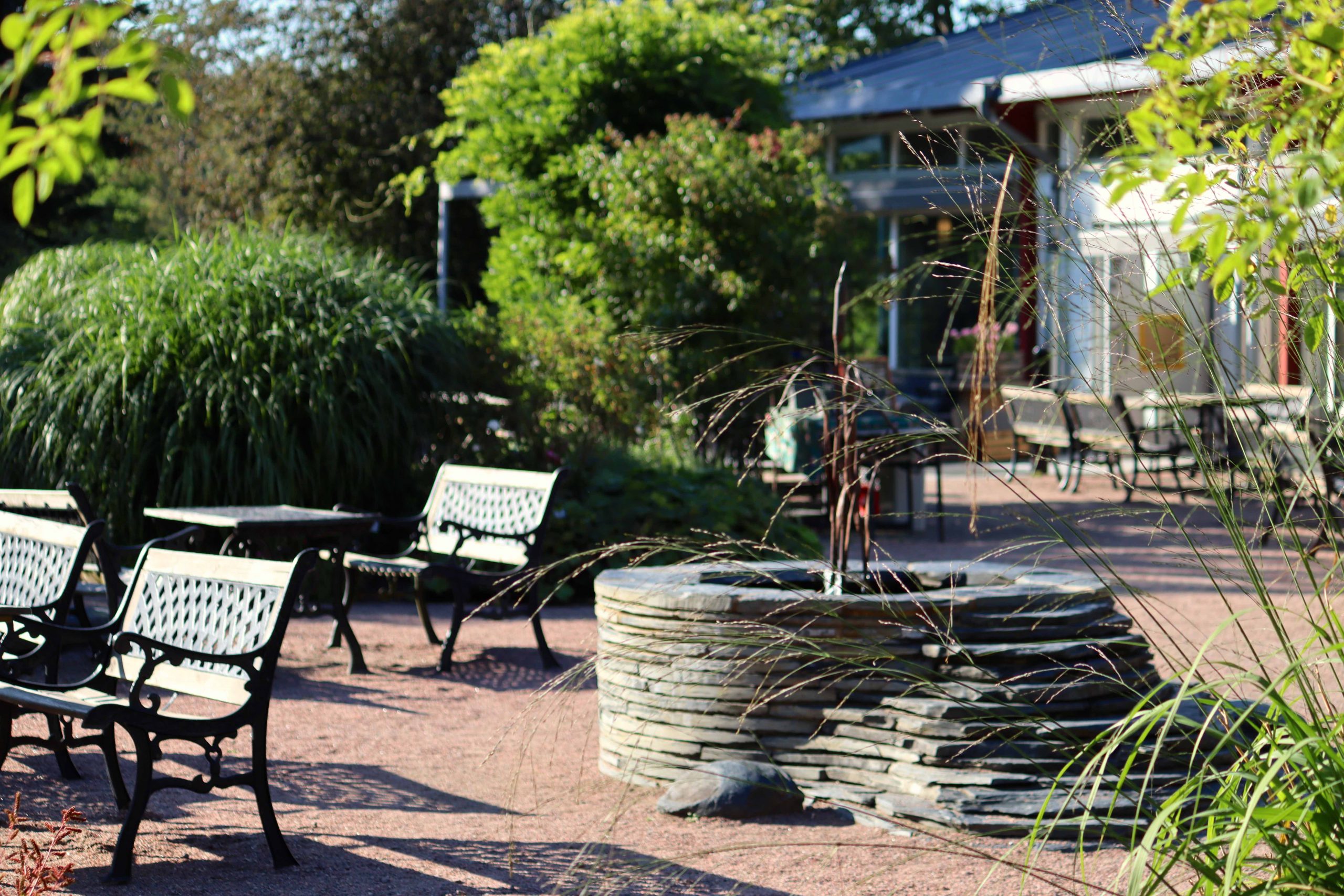 Natalia Lindberg Trädgårdsdesign - Besök till Göteborgs botaniska trädgård miscanthus prydnadsgräs fontän
