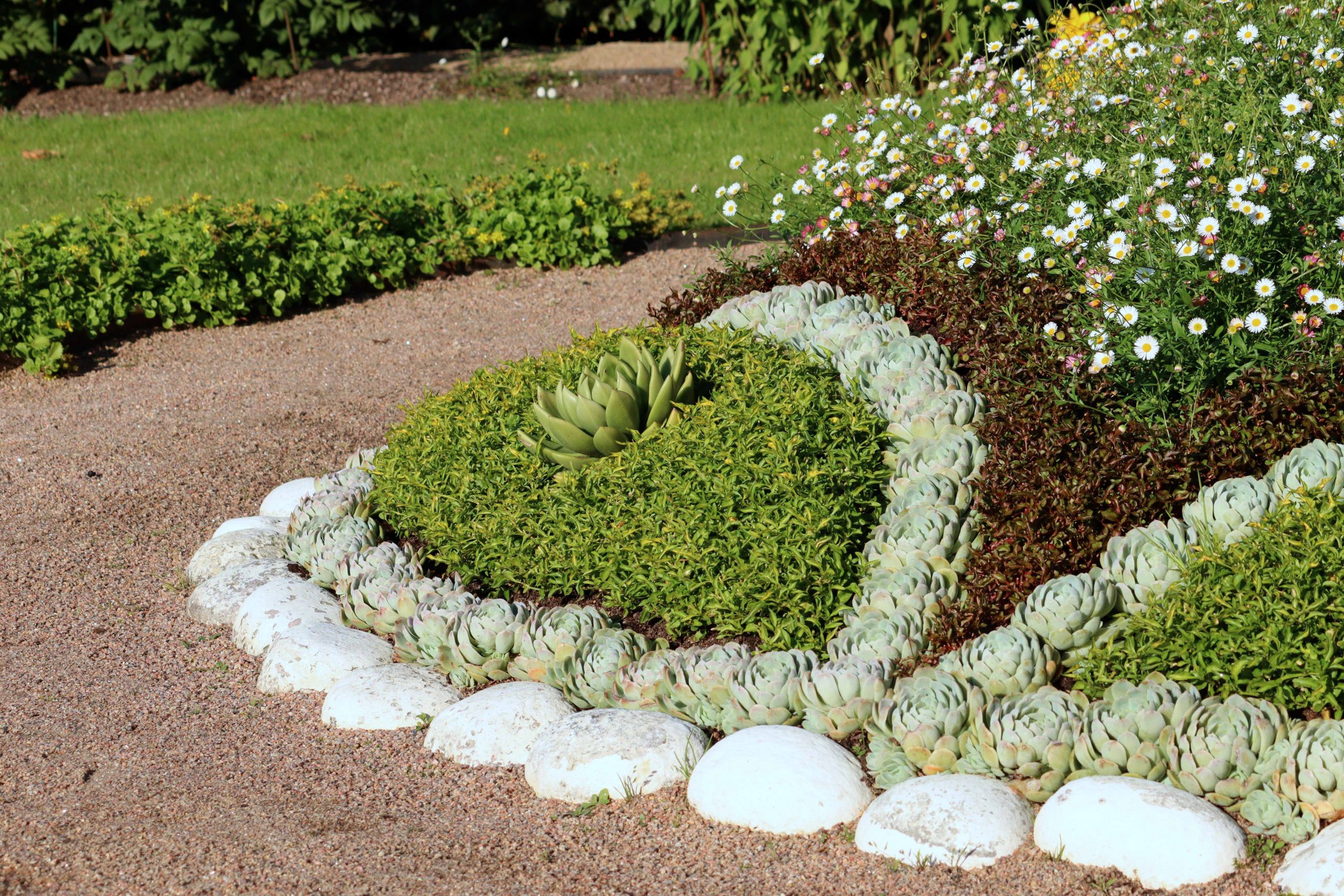 Natalia Lindberg Trädgårdsdesign - Göteborgs botaniska trädgård suckulenter