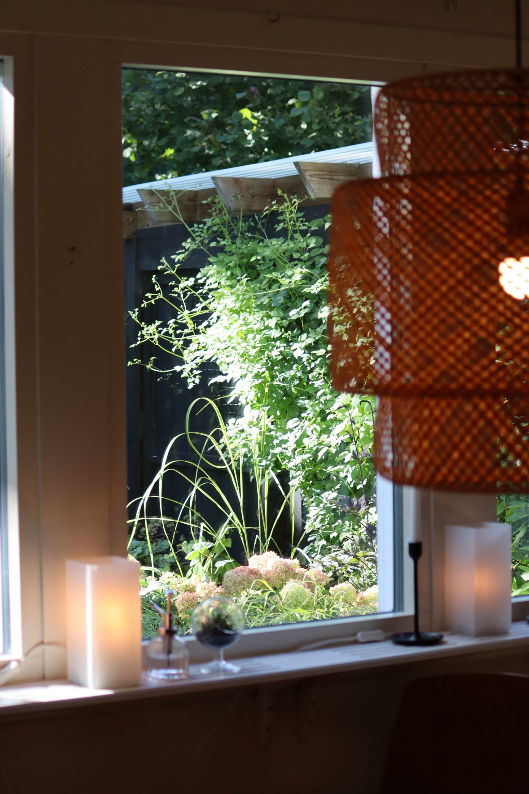 Natalia Lindberg Trädgårdsdesign - augustiljus i trädgården Hortensia Little Lime  höstsilverax hakonegräs