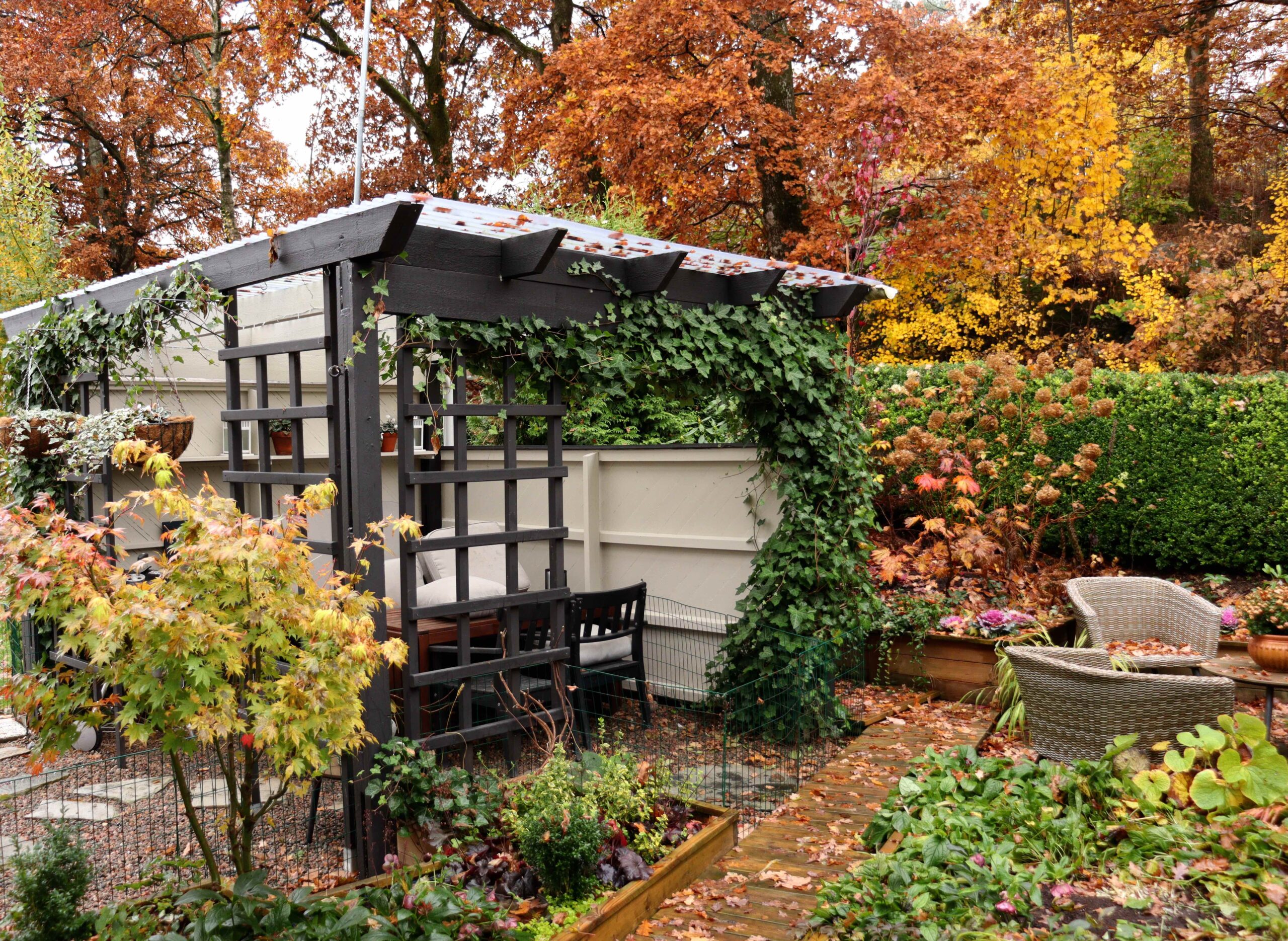 Natalia Lindberg Trädgårdsdesign - pergola höst i den lilla trädgården