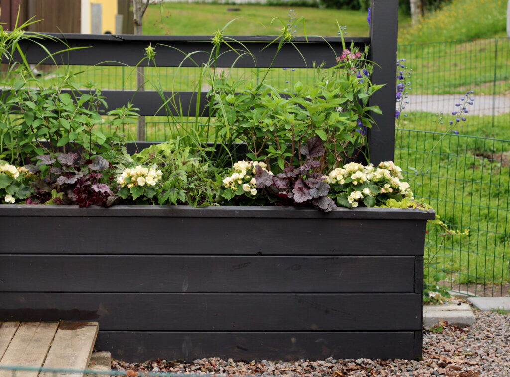 Plantering med perenner och sommarblommor för halvskugga - Natalia Lindberg Trädgårdsdesign