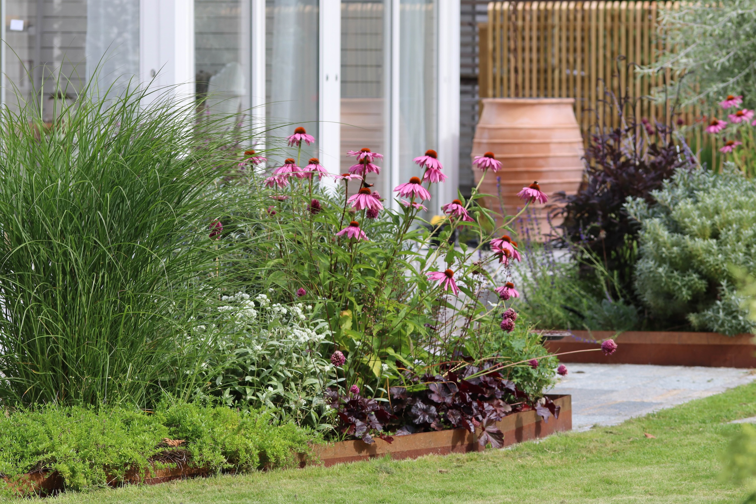 Miscanthus sinensis Solhatt Magnus alunrot ulleternell - Natalia Lindberg Trädgårdsdesign