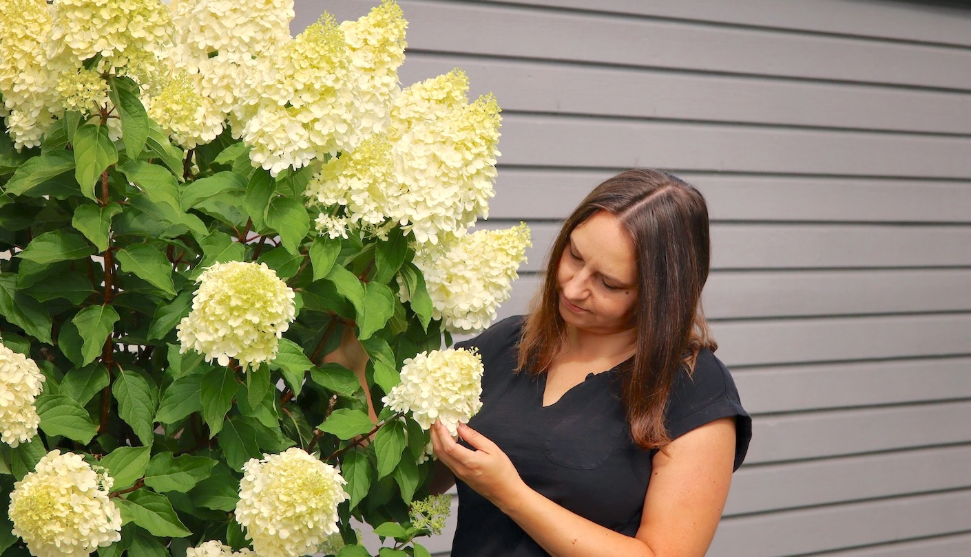 Natalia-Lindberg-Hortensia-Limelight9