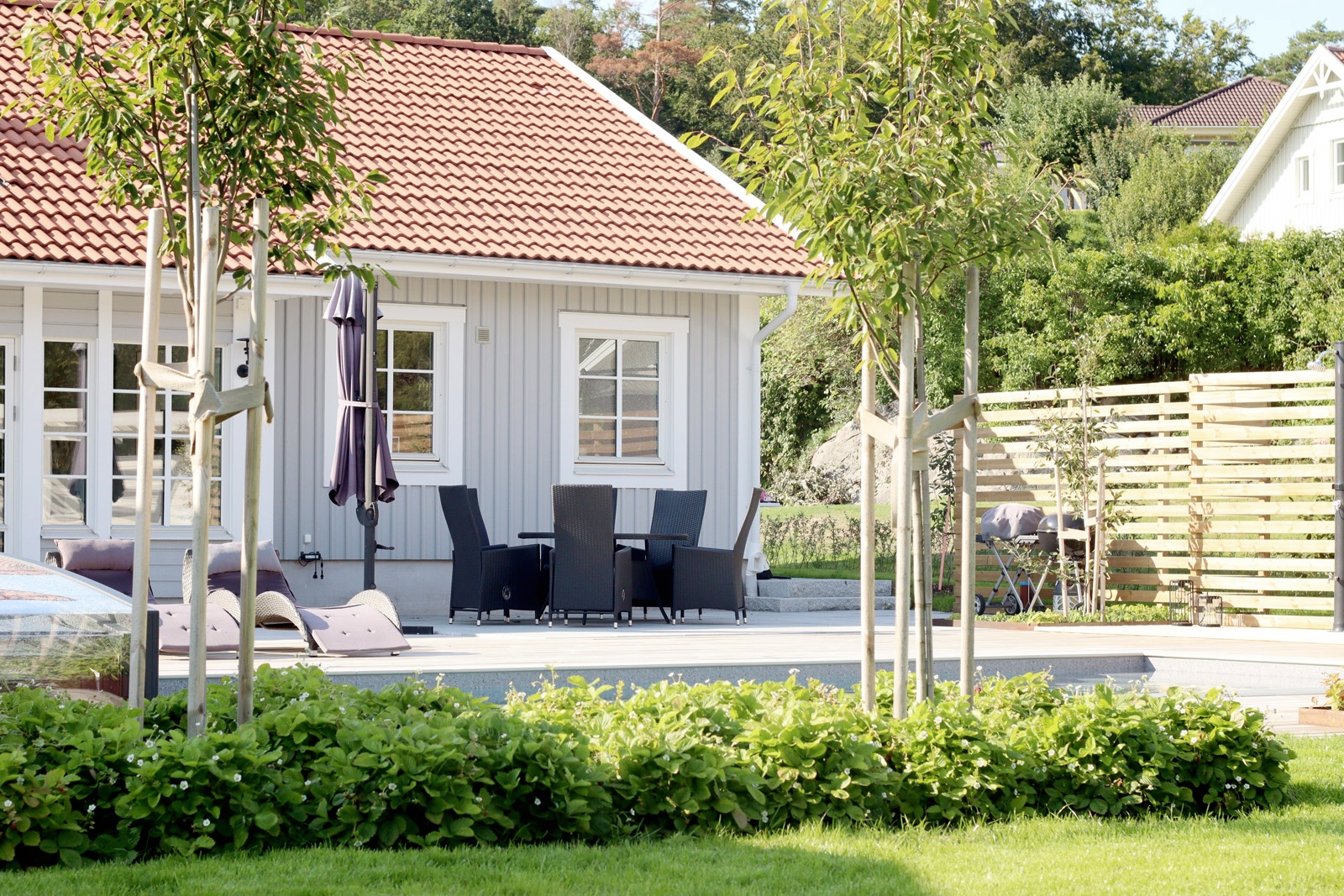 Poolträdgård i lantlig miljö uteplats solstorlar pool - natalia lindberg trädgårdsdesign